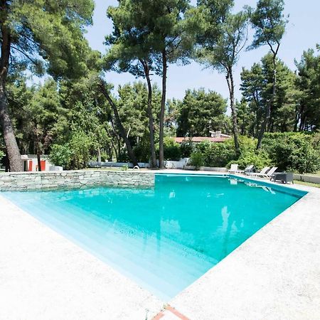 Villa Aurora In Sani With Garden And Pool エクステリア 写真