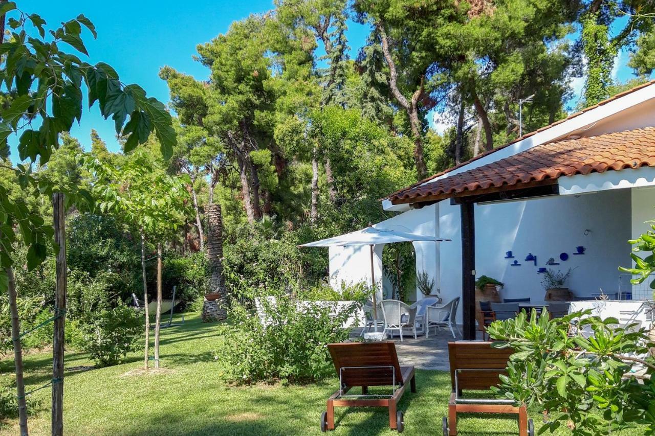 Villa Aurora In Sani With Garden And Pool エクステリア 写真